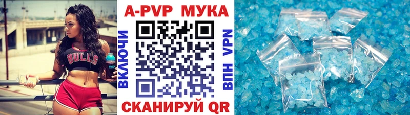 МЕФ Ишим