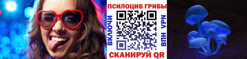 Псилоцибиновые грибы MAGIC MUSHROOMS  купить закладку  Ишим 